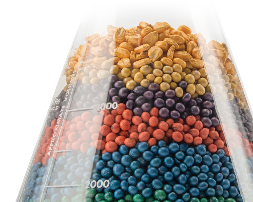 <h1>BRINGING THE <strong>PROMISE</strong> OF EVERY SEED <strong>TO LIFE<sup>®</sup>
</strong>

</h1>